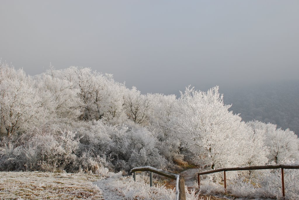 Rotenfels 12/2007 by Alexander Klaeser