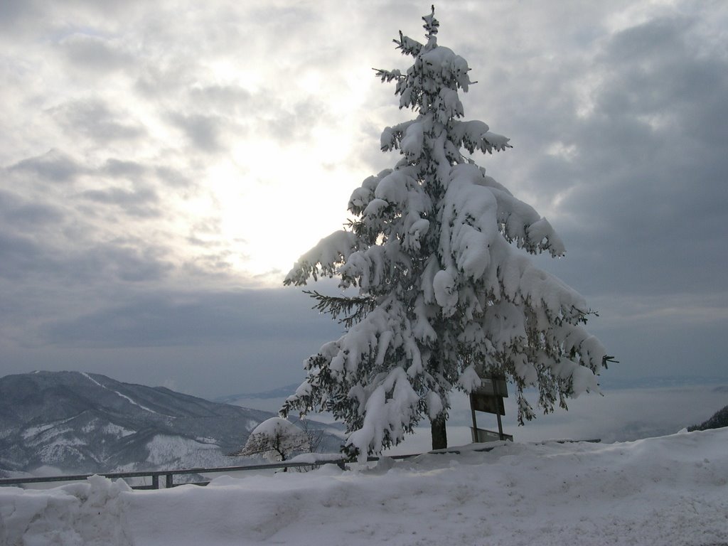 Nevicata by luciano bertieri