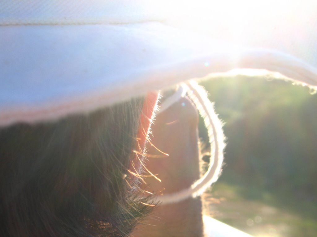 Hat, Hair and the Sun by Hectico