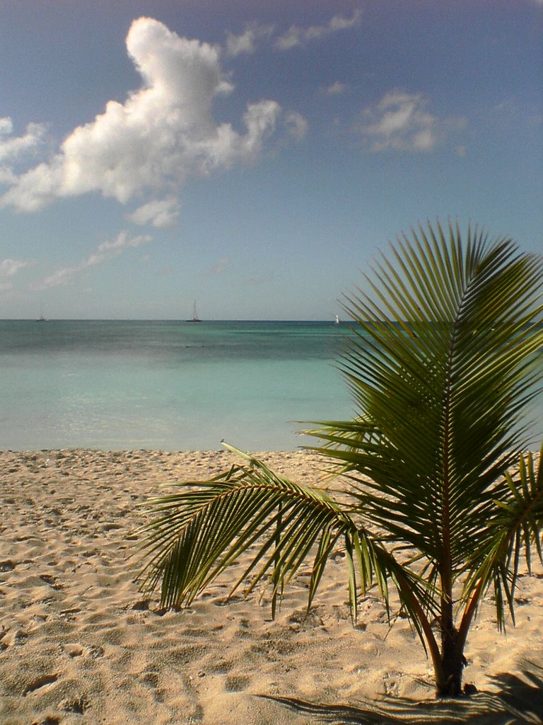 Bayahibe Beach in the Dominican Republic by skylin3gtr013