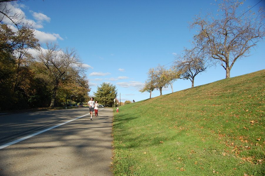 Highland Park, Pittsburgh by Ling Chen