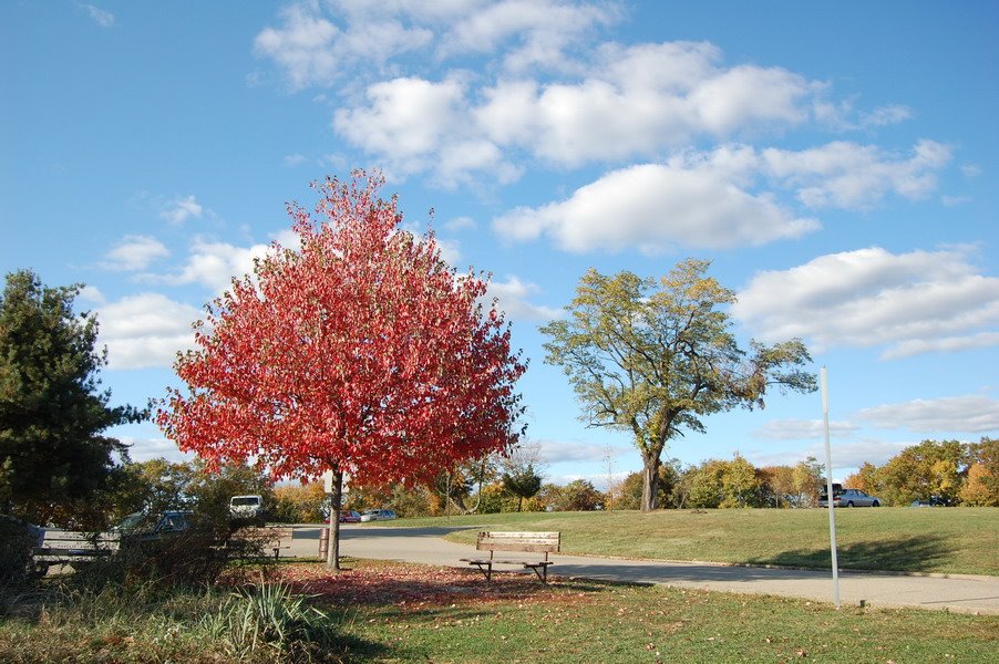 Highland Park, Pittsburgh by Ling Chen