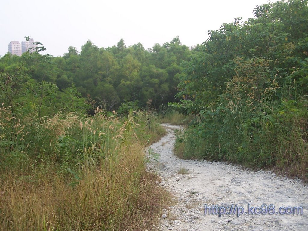 半屏山登山步道 by pkc543