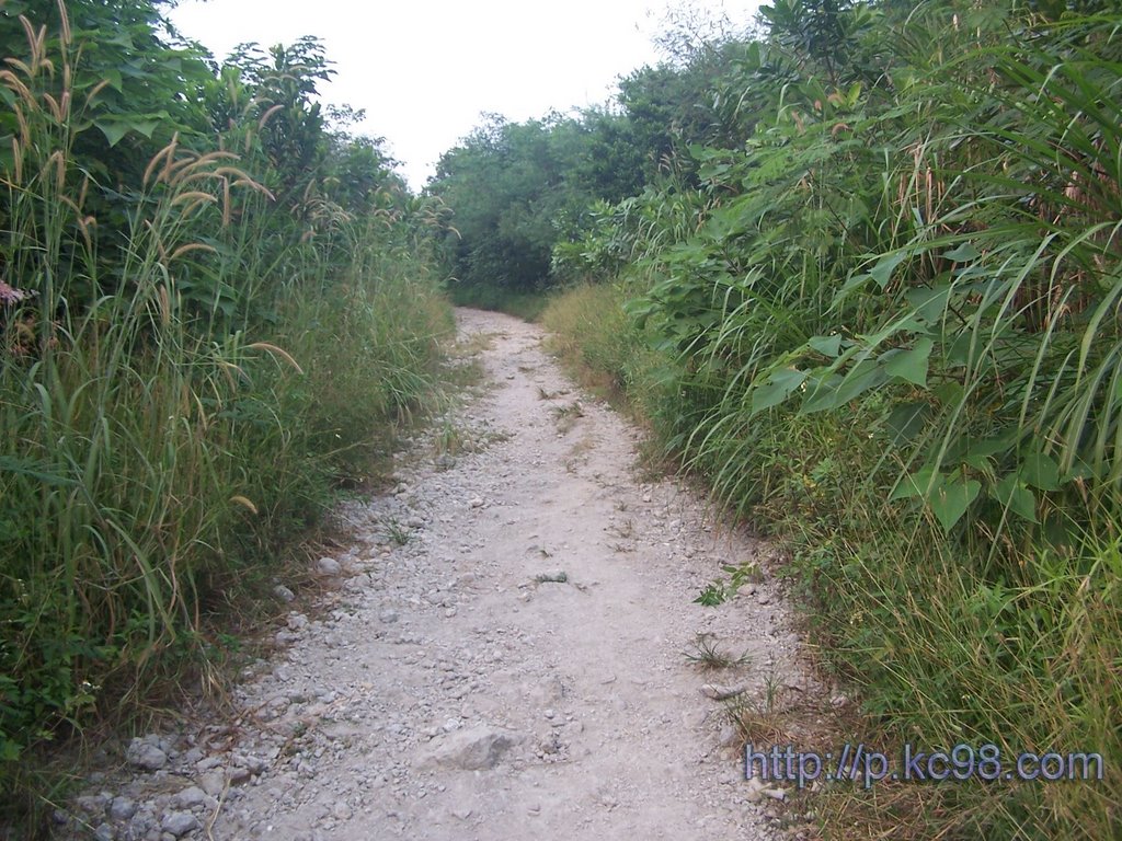 半屏山登山步道 by pkc543