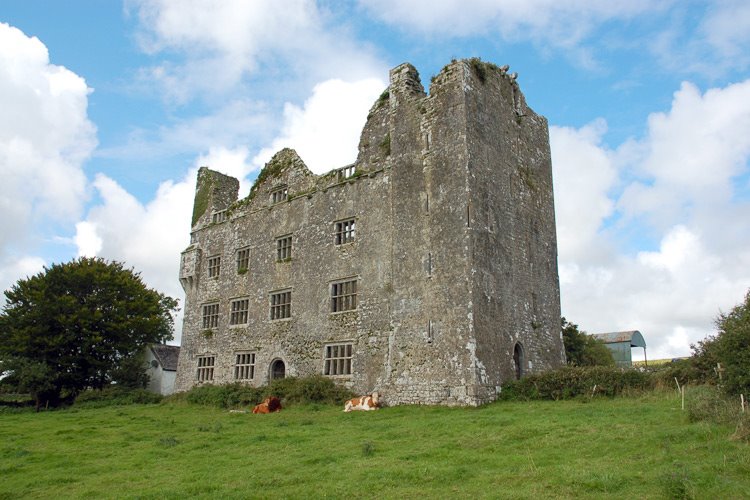 Leamanagh Castle by Sean Coetzer