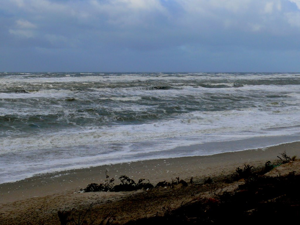 Nordsee bei Søndervig by Robert elch