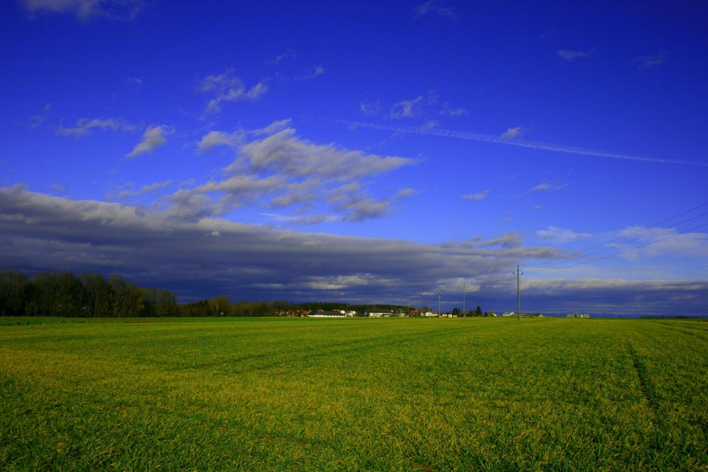 Losensteinleiten by czeller