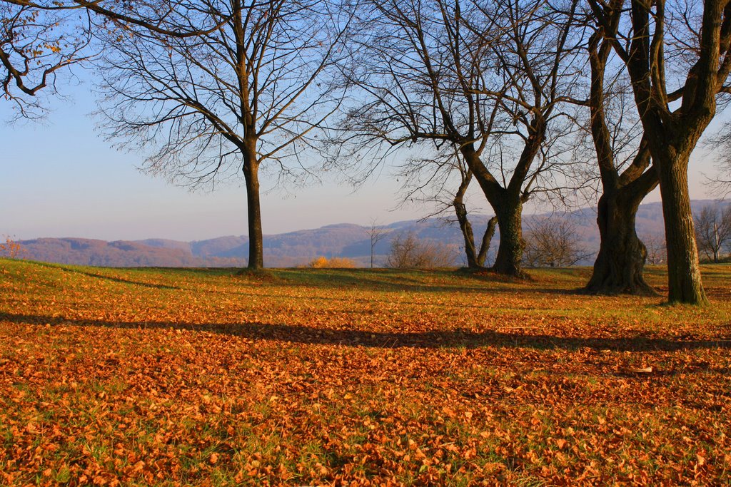 Tüllingen by Adam G.