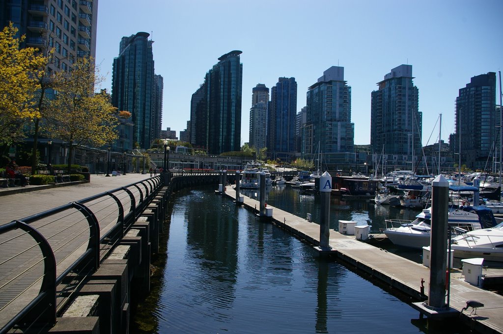 Waterfront of Stanley Park, Vancouver by buzzard525