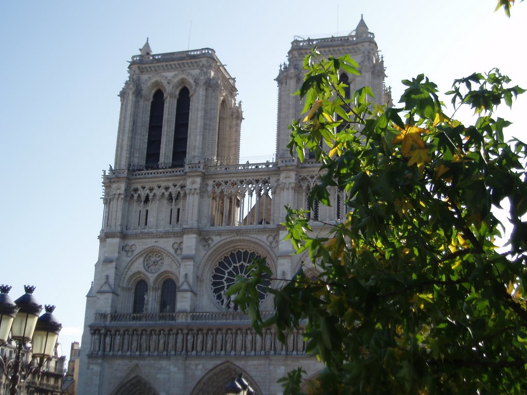 Notre Dame by vicmarsan