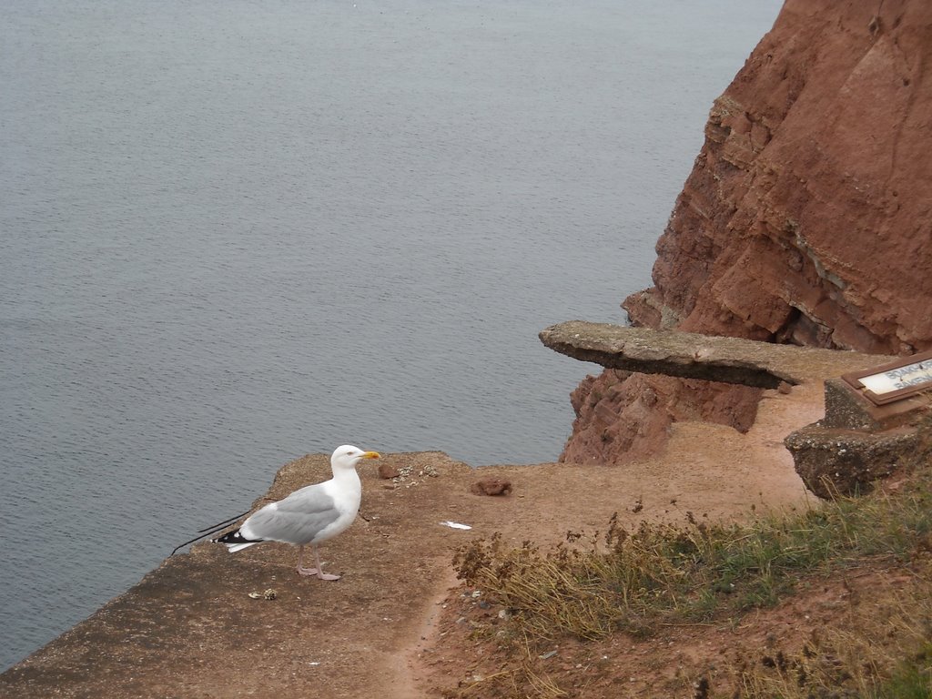 Helgoland (Germany), summer 2008 by rdaniel