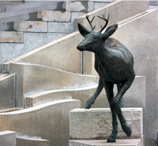 Whitetail Deer Sculpture, Burlington, Vermont by Harmonyville