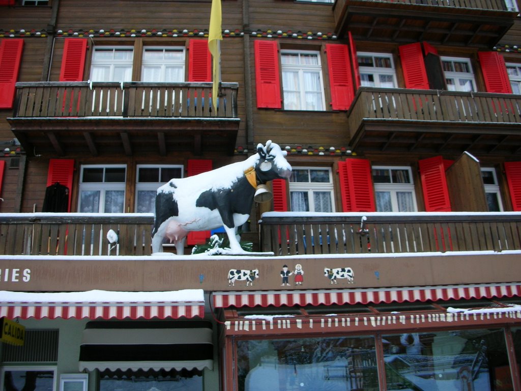 Shop in Wengen by Cecilia Teixeira