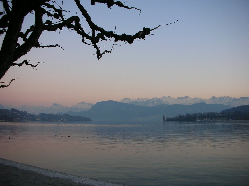 Lake Luzern by Cecilia Teixeira