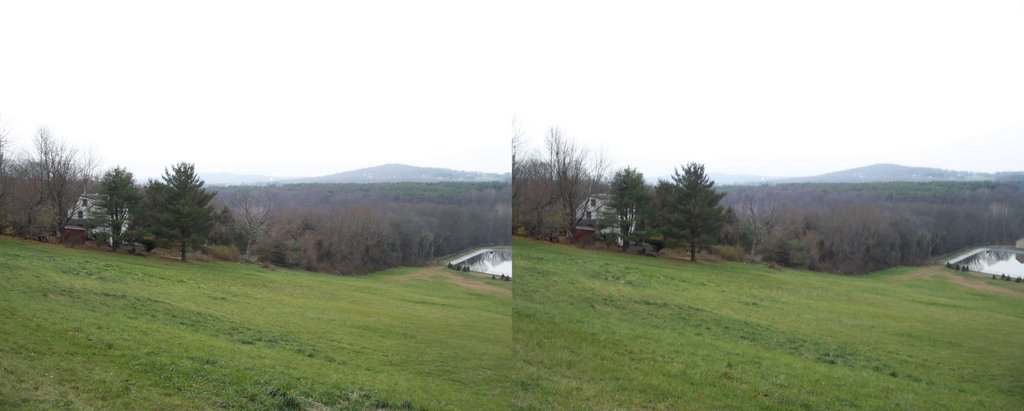 Spring Mountain from Berger Park by Raligard