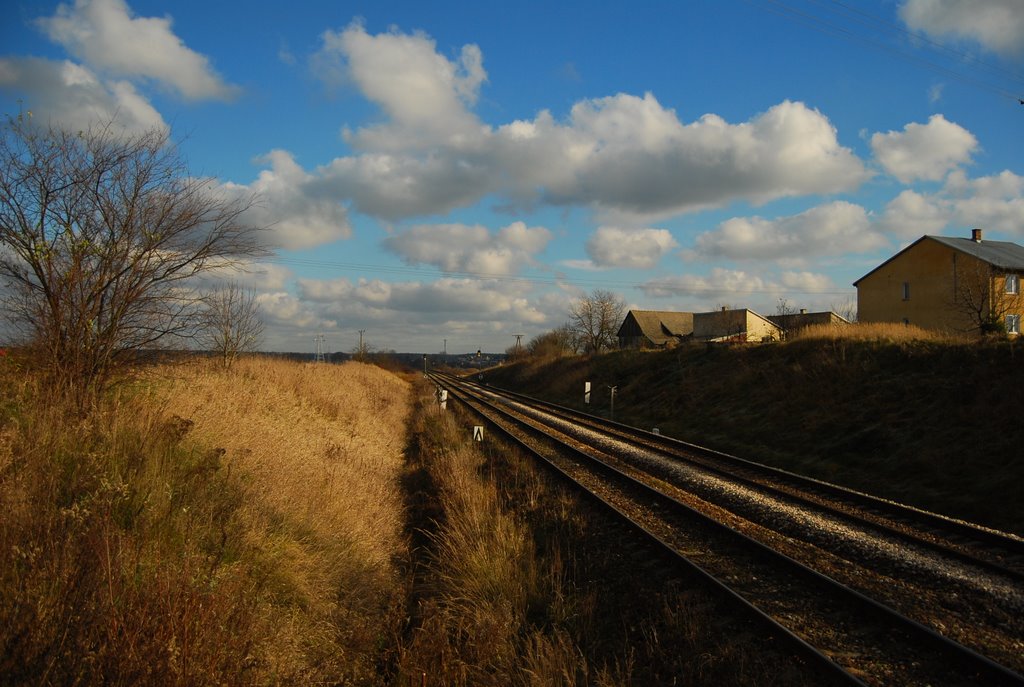 Bilgoraj, Poland by Krzysztof Paluch