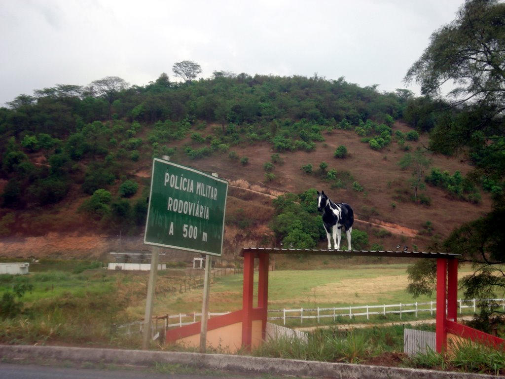 11/08 - Cavalo em cima da porteira, BR-418, Teófilo Otoni, MG - BR by Moacyr Filgueira