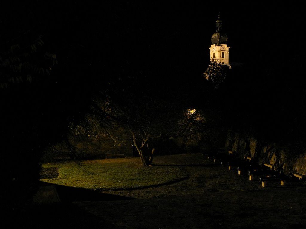 Győr, Hungary by Zoltán Nagy