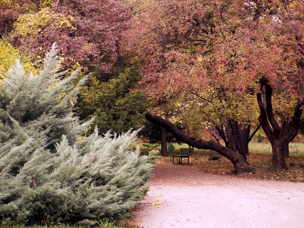 Botanical Garden by ovidiu anca