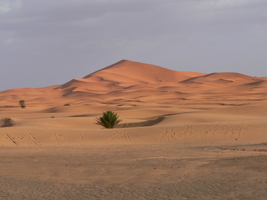 Desierto de Erg-Chebby by Manuel Colmenarejo P…