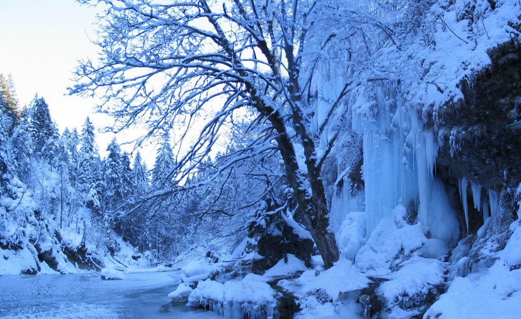 -8° C, Die Schleierfälle stehen still. by Ronny aus Lechbruck