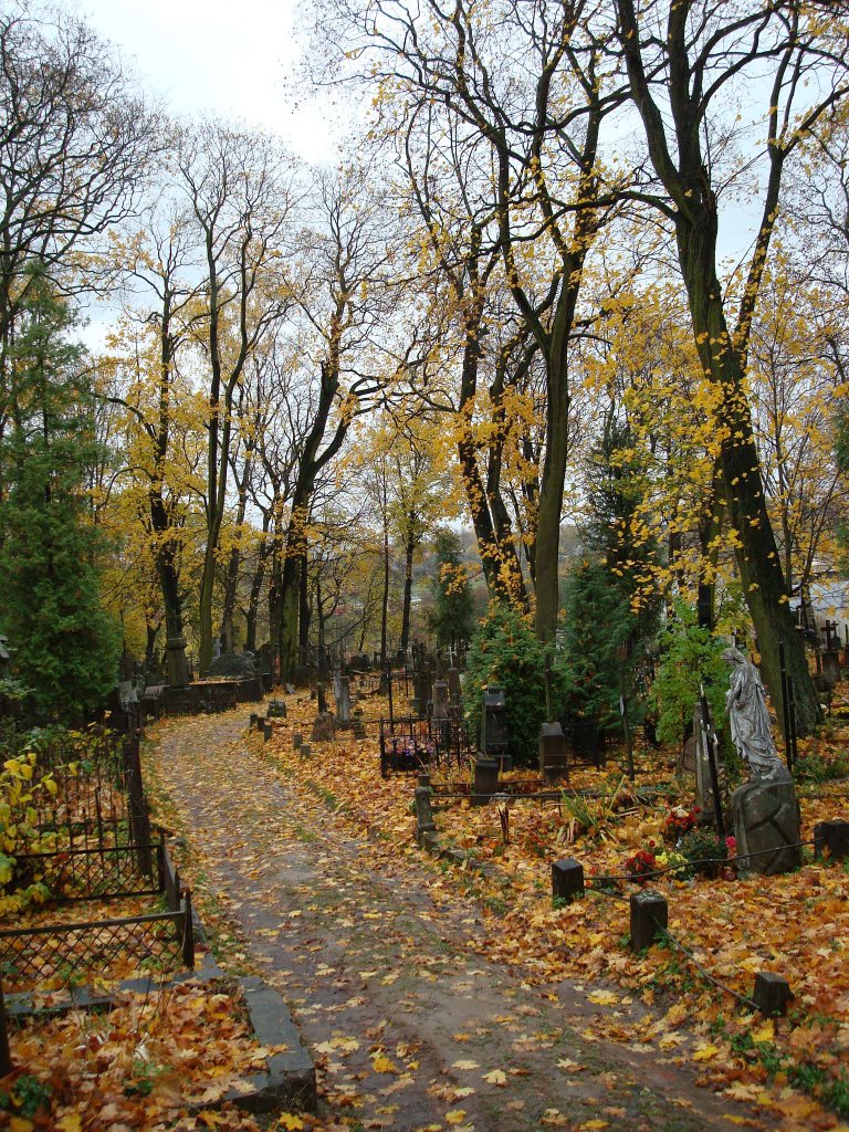 Bernardine Cemetery by Emiliano Homrich