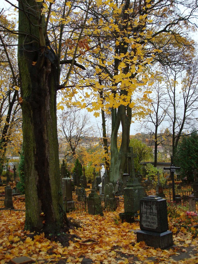 Bernardine Cemetery by Emiliano Homrich