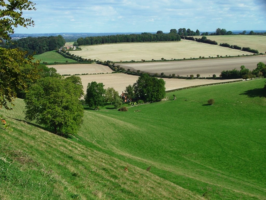 Between Ash Warren and Sydmonton by SBower