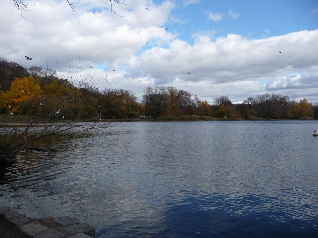 Prospect park lake by Emanuele Blicchi