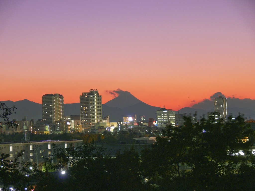 夜景と富士山 浅間山公園 by とも21