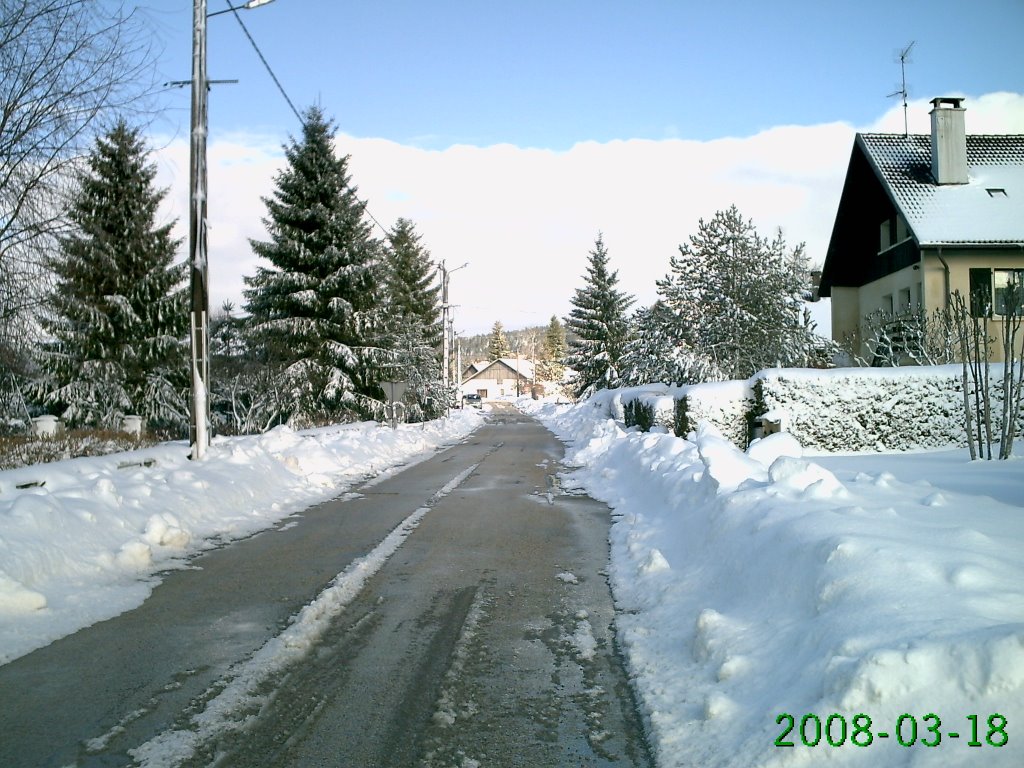 La chenalotte mars 2008 by NAVION ROBERT