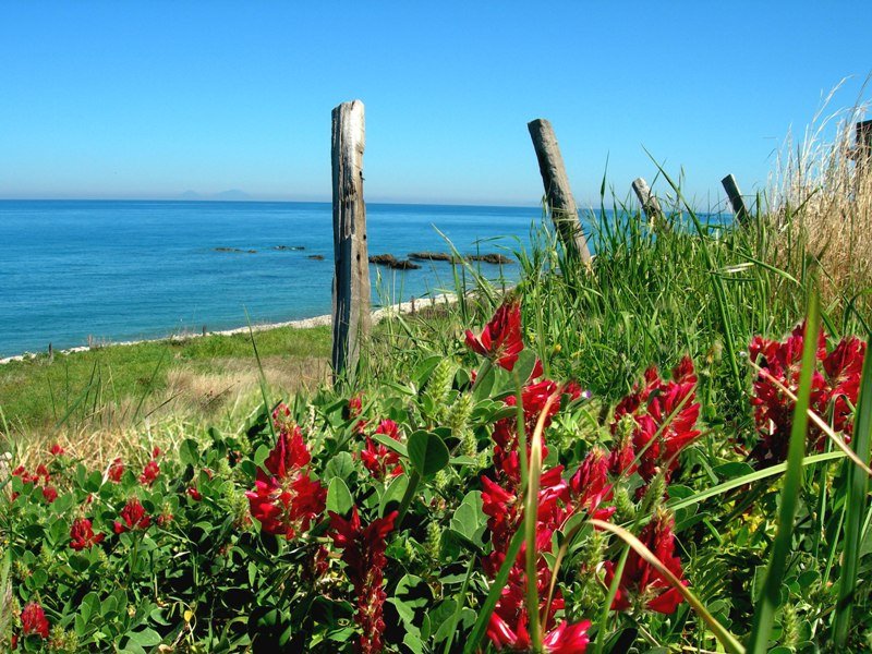 Marina di Caronia, contrada Chiappe by domenico turrisi