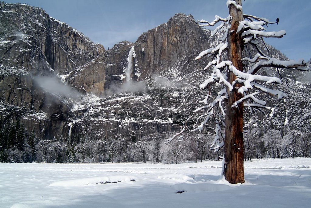 Yosemite Fall from Cook's Meadow by Chip Stephan