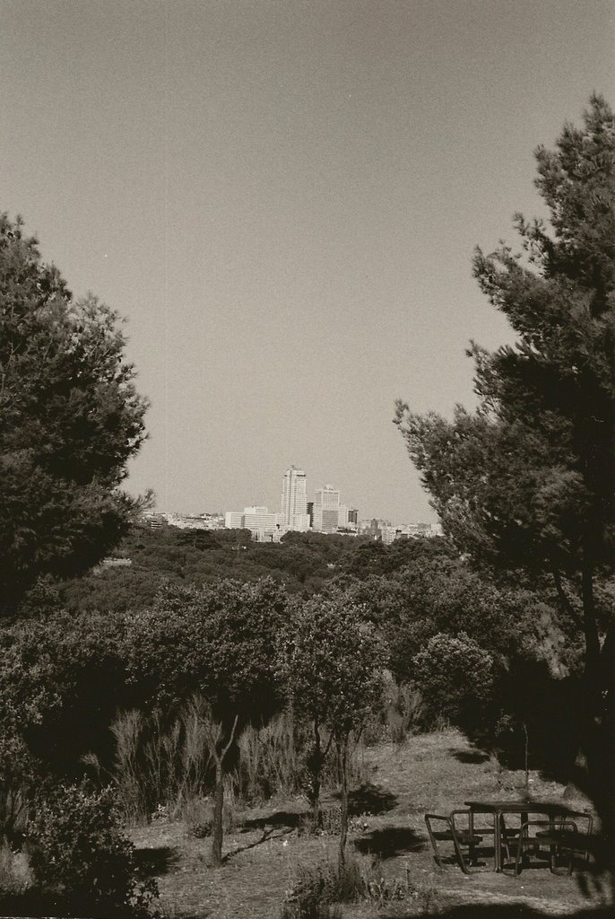 La Plaza de España desde la Casa de Campo by Carmen Peña Medina