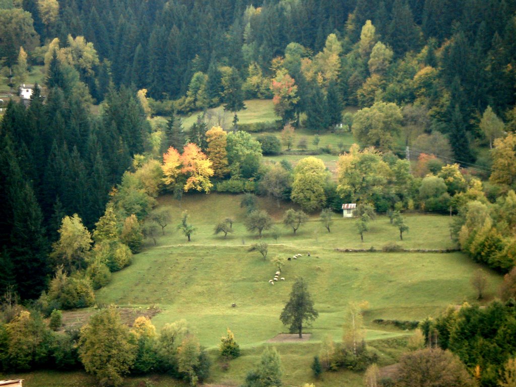 Autumn in Rodopi mountains by Михаела Иванова