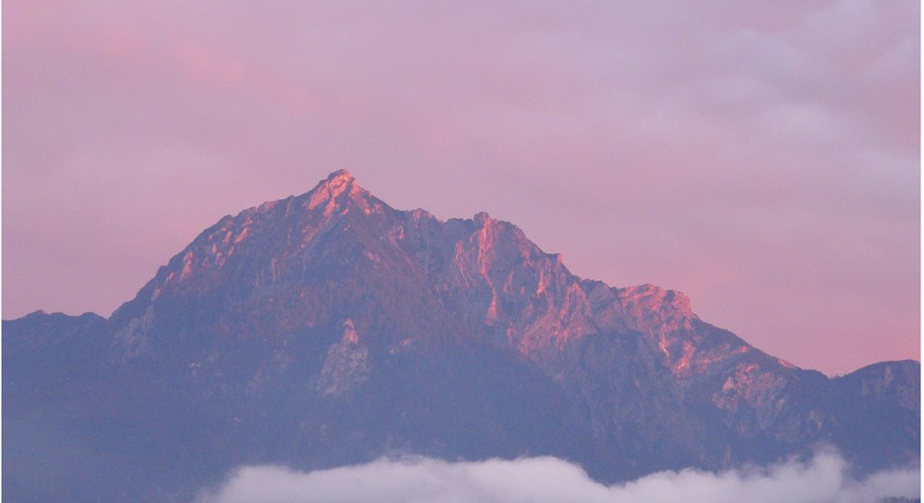 Wieslerhorn. by A Davies