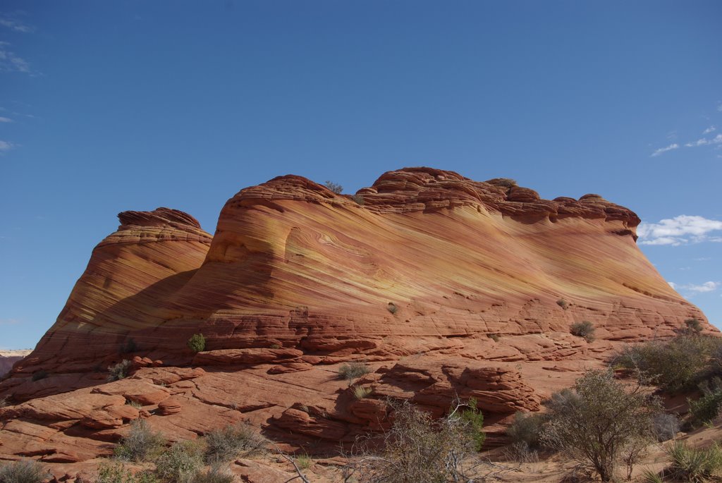 Coyote Buttes North - The Wave by d2ns