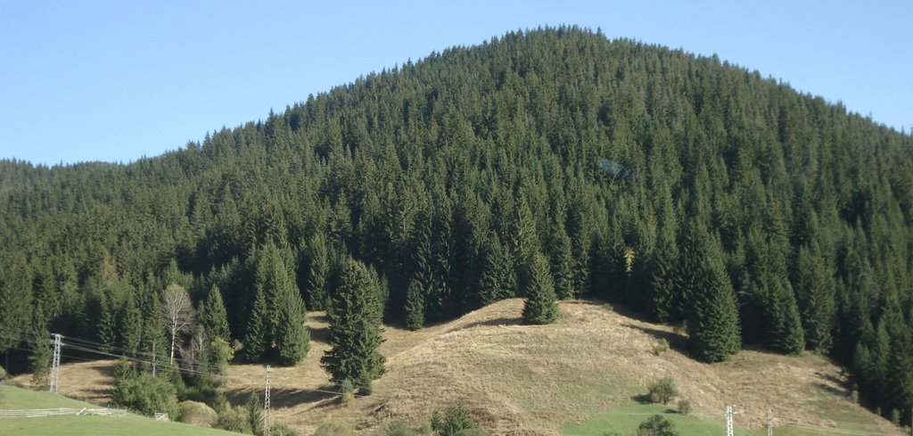 Rodopi mountains - landscape by Михаела Иванова