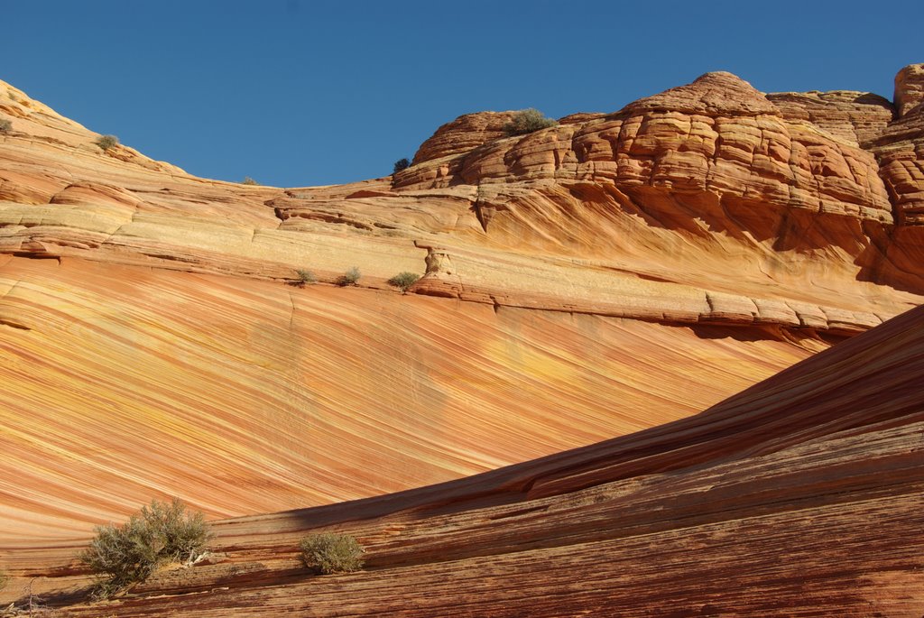 Coyote Buttes North - The Wave by d2ns