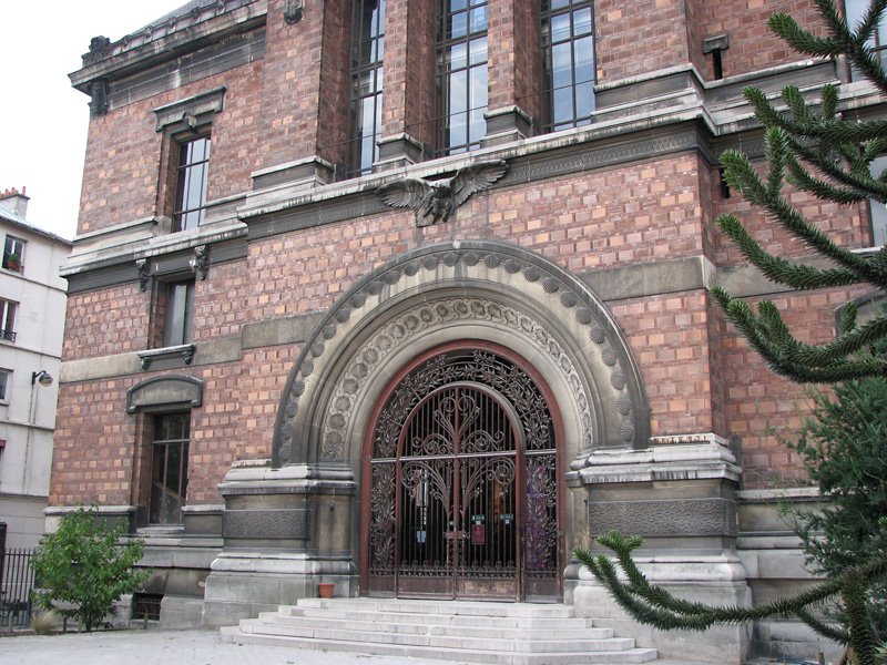 Museum d'Histoire Naturelle by Sheryl Todd (tapirga…