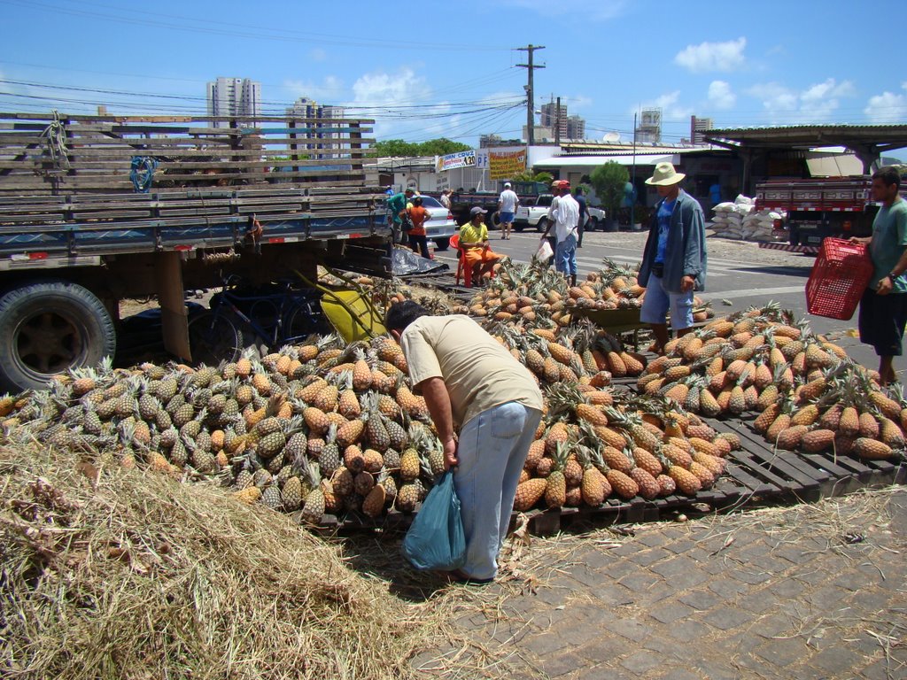 Mercado de abacaxi na CEASA by Marcus Sampaio