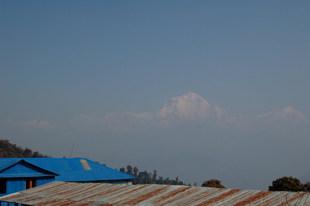 Ghorepani. Mt. DHAULAGRI -8167m. by Kwanweng Leong