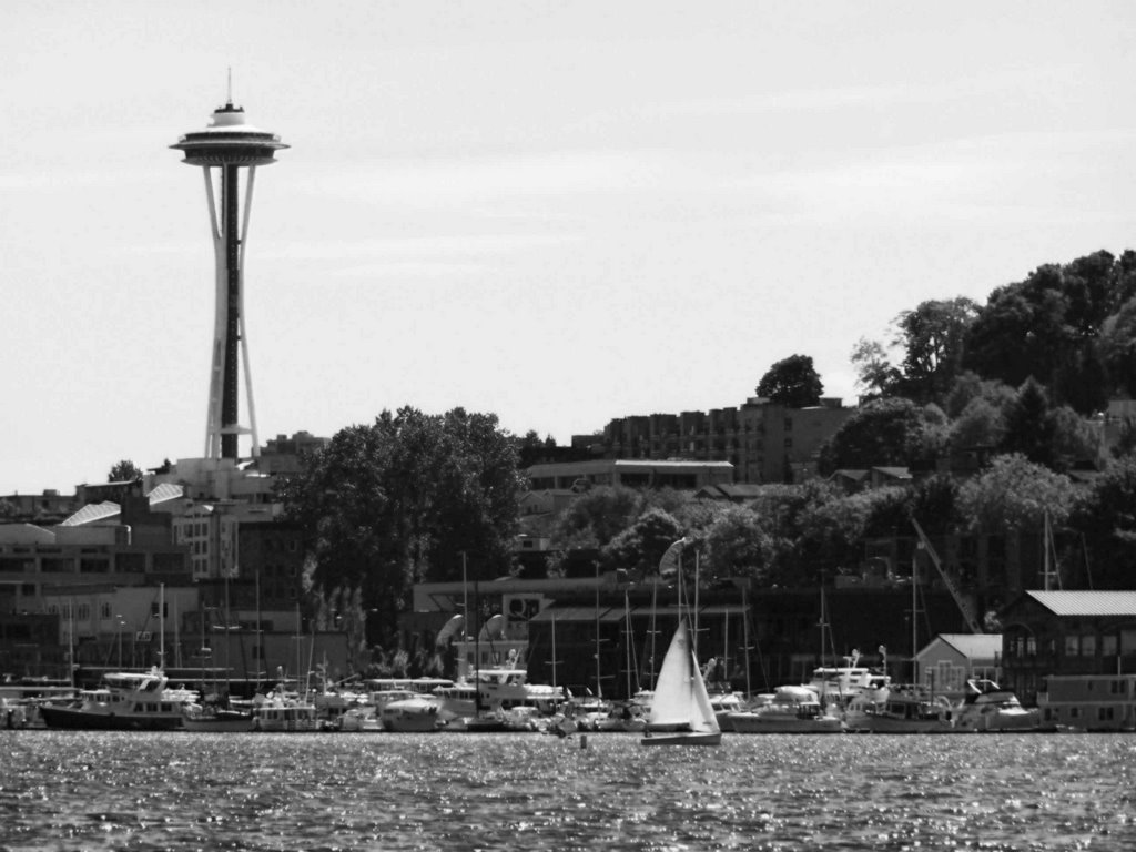 Space Needle from Gasworks Park by manleyaudio