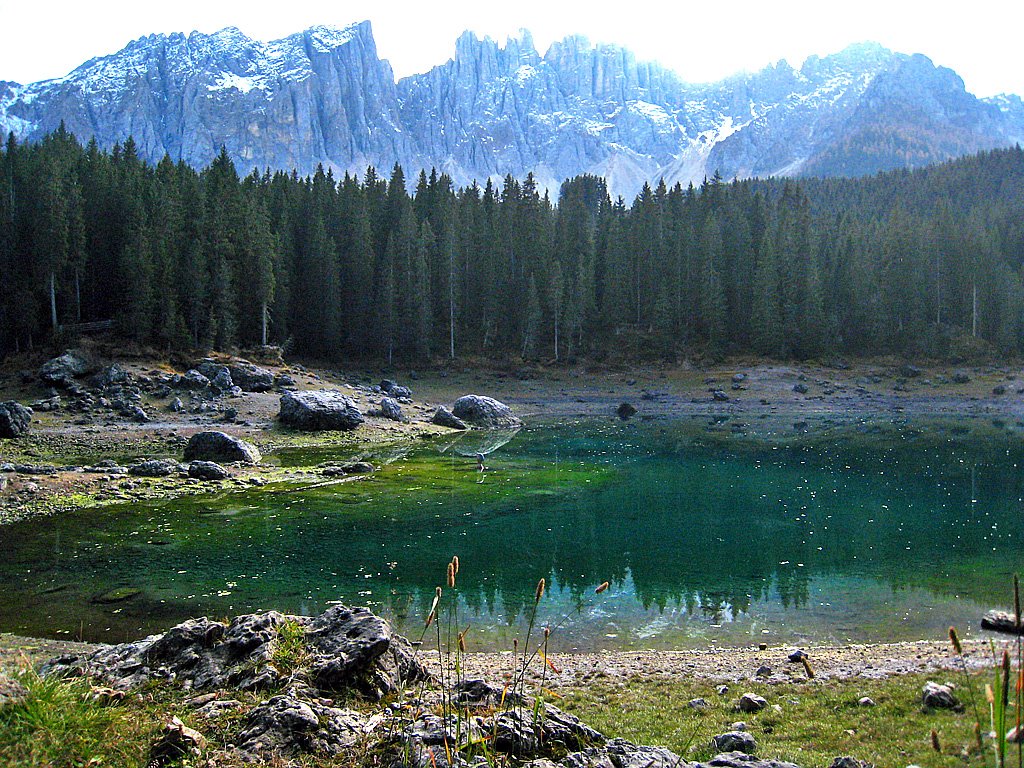 Lago di Carezza by Carmel Horowitz