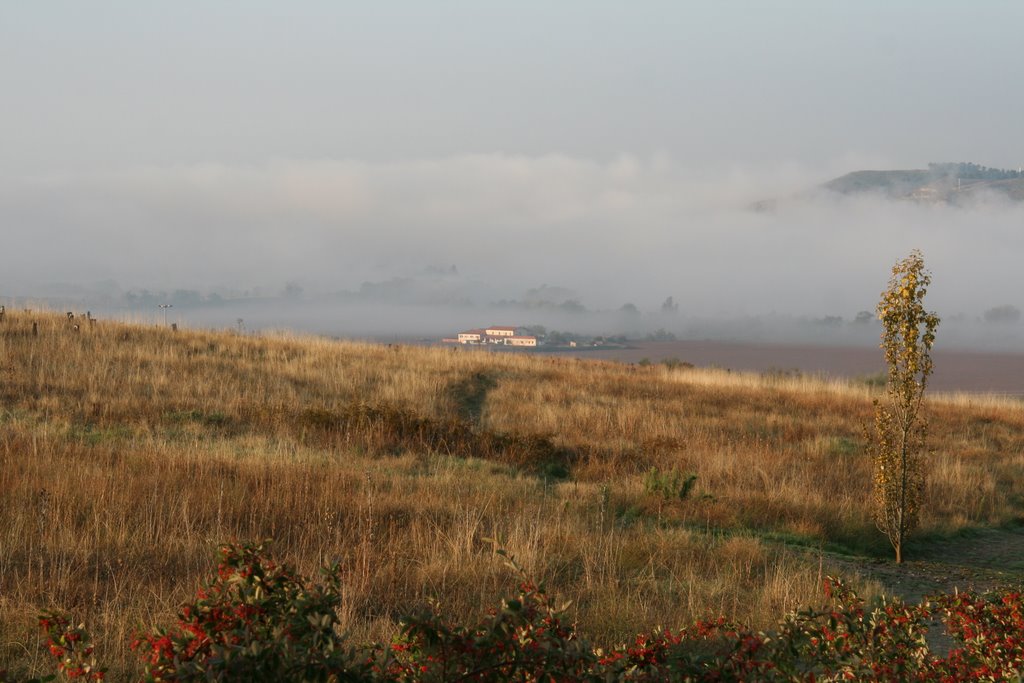 Niebla matinal en el valle del Jarama by Chusín