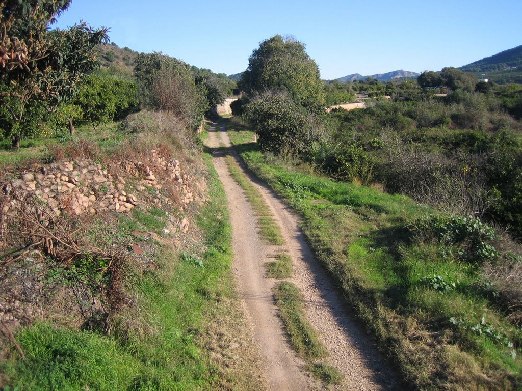 Cami de baix by tatasil