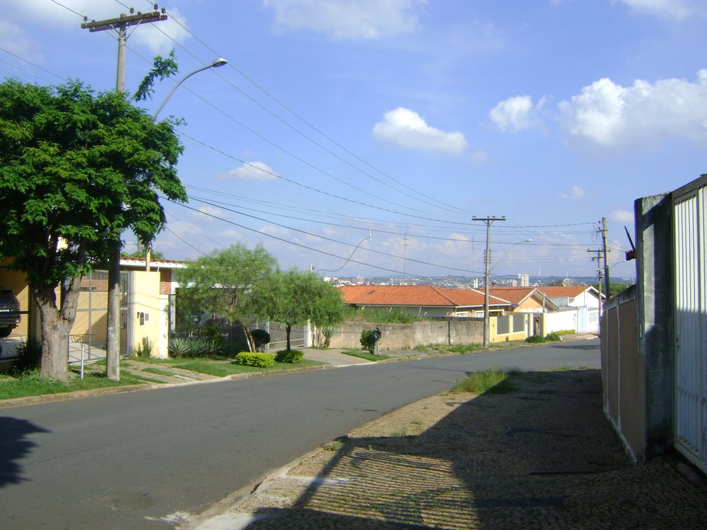 Parque São Quirino - R. Domingos de Rocco - ao fundo a Região Leste da cidade by Alexander Denarelli