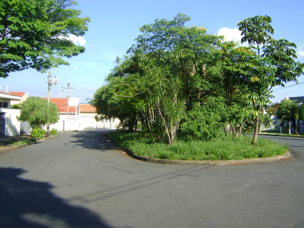 Parque São Quirino - belissima "ilha" Verde by Alexander Denarelli