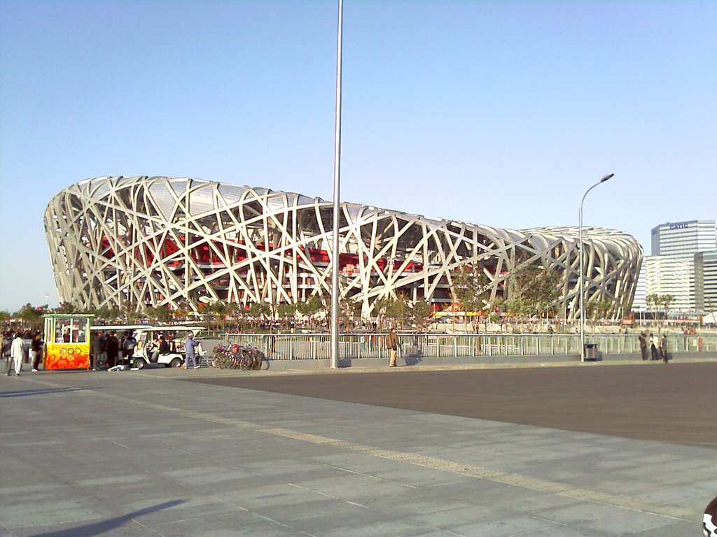 Bird nest by oktsingtao