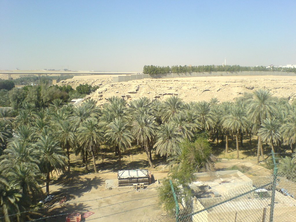 Date trees in a valley to the west of King Fahad Cultural Center in Riyadh. by Shady Janzeir